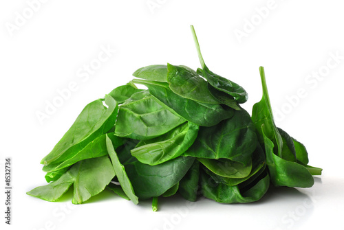 Photo: Spinach Spinach