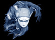 Photo: Venetian Mask Venetian Mask
