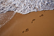 Beach Surf