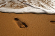 Beach Surf