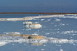 Salt in the Dead Sea, Israel Salt in the Dead Sea, Israel