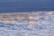 Salt in the Dead Sea, Israel
