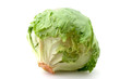 lettuce head on white.