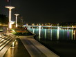 quais de la saone à lyon en soirée