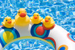 Photo: Ducks in Summer Ducks in Summer