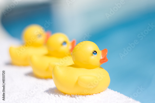 Photo: Toy Ducks Toy Ducks