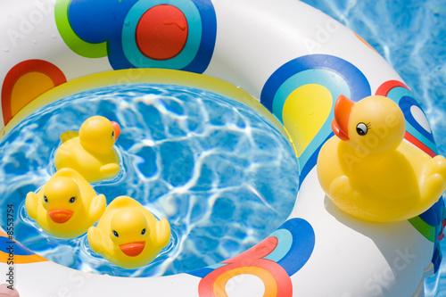 Photo: Ducks in Summer Ducks in Summer
