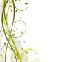 Floral background
