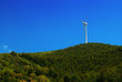 Photo: Windmill on the Hill Windmill on the Hill