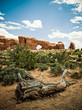 Arches National Park, Utah, USA Arches National Park, Utah, USA