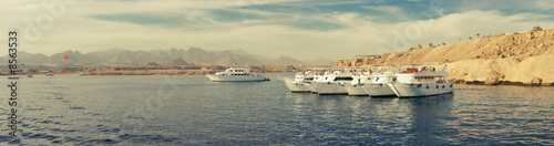 Photo: Group of white yachts panorama Group of white yachts panorama