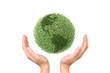 Saving green planet