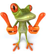 Grenouille Grenouille