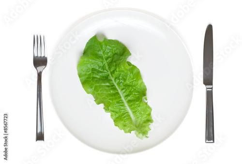 Photo: single lettuce leaf on a plate single lettuce leaf on a plate