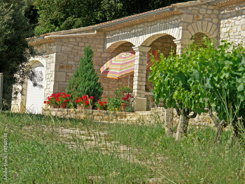 maison dans les vignes