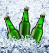 Beer is in ice