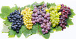 grape