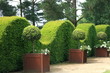 jardin en topière