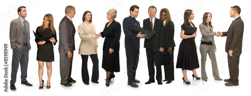 11 Professionals on White