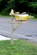 Fish Mailbox