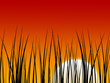 Illustration: Sunset background Sunset background
