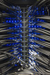 Foto: Kabel an einem Server Kabel an einem Server