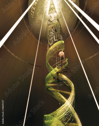 Illustration: ADN évolution dollar ADN évolution dollar