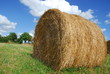 paille paille
