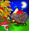 Hedgehog