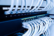 network switch