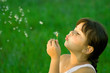 girl with dandelion