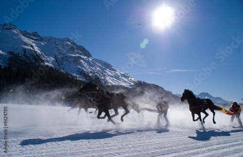 Foto: Skikjöring Skikjöring