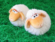 Two little toy sheeps on green grass background