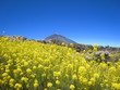 Nationalpark El Teide