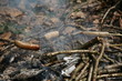 Lagerfeuer