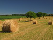 Dordogne, Périgord Vert Dordogne, Périgord Vert