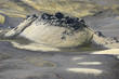 cratère de volcan