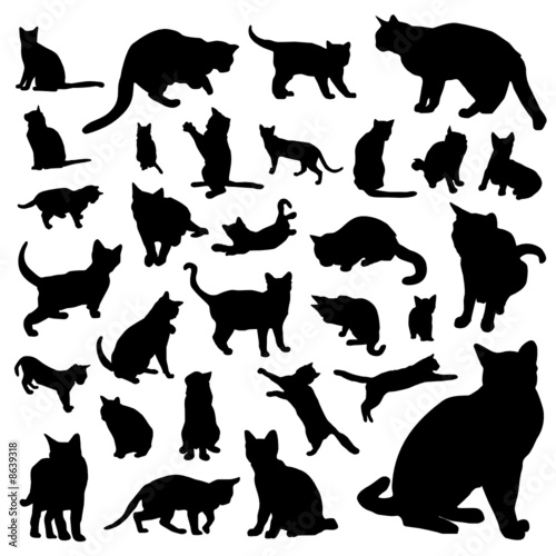 collection of cat vector