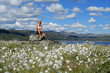 Hardanger Vidda