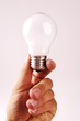 bulb bulb