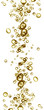 champage bubbles