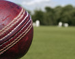 Cricket Ball Close Up