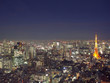 tokyo from above