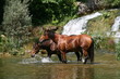 Les pieds dans l'eau