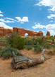 Arches National Park, Utah, USA Arches National Park, Utah, USA