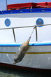 Closeup of boat