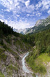 paradise