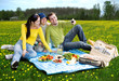 three friends taking a photo of themselves at picnic