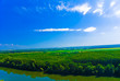forest and river landscape beneath a cloudy blue sky