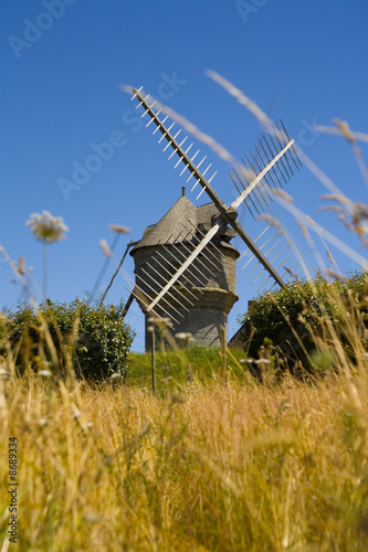 Photo: windmill windmill